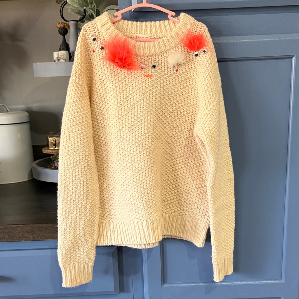 Cute and Funky Crewcuts Sweater